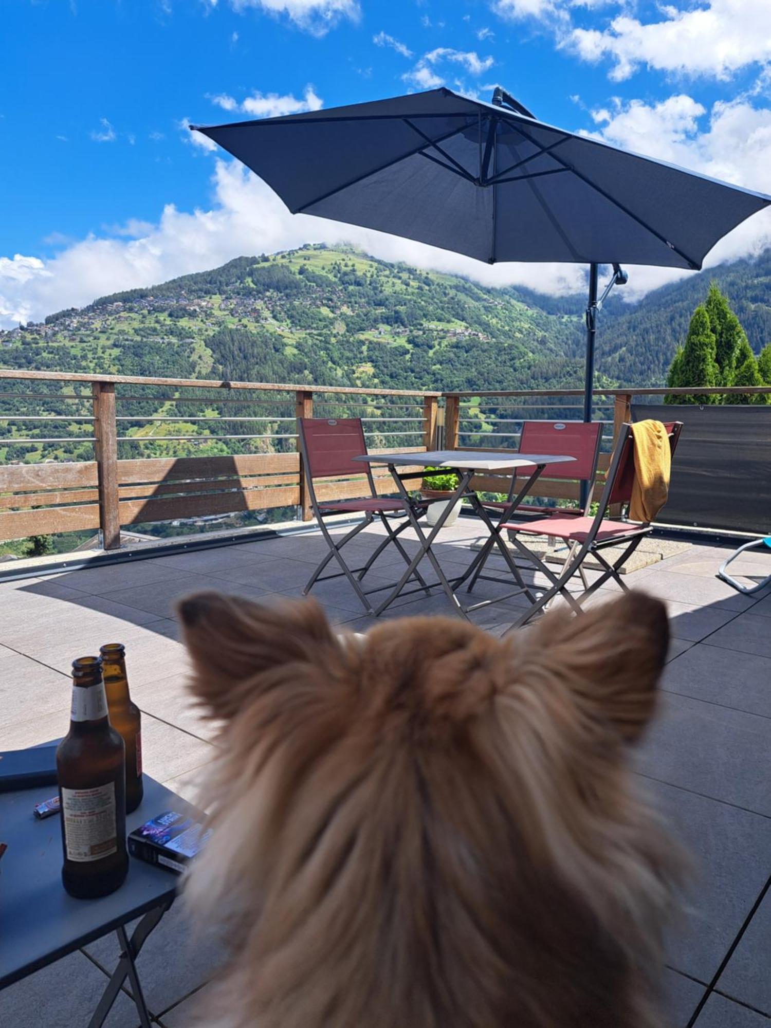 Alt'O Martinets Pensionat Nendaz Exteriör bild