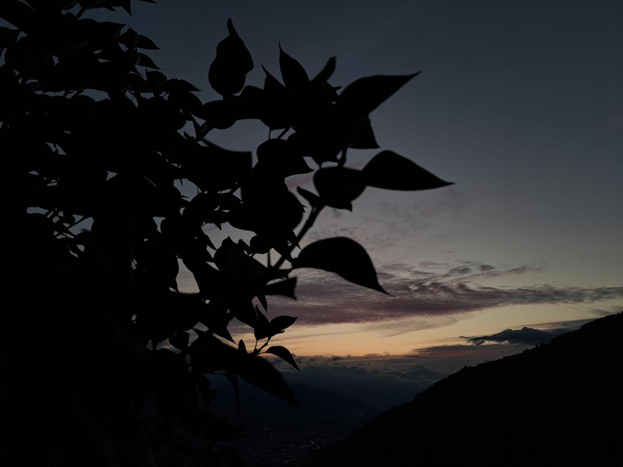 Alt'O Martinets Pensionat Nendaz Exteriör bild
